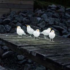 New π Konstsmide Set Of 5 Acrylic Birds Lit With 40 White LEDs π―