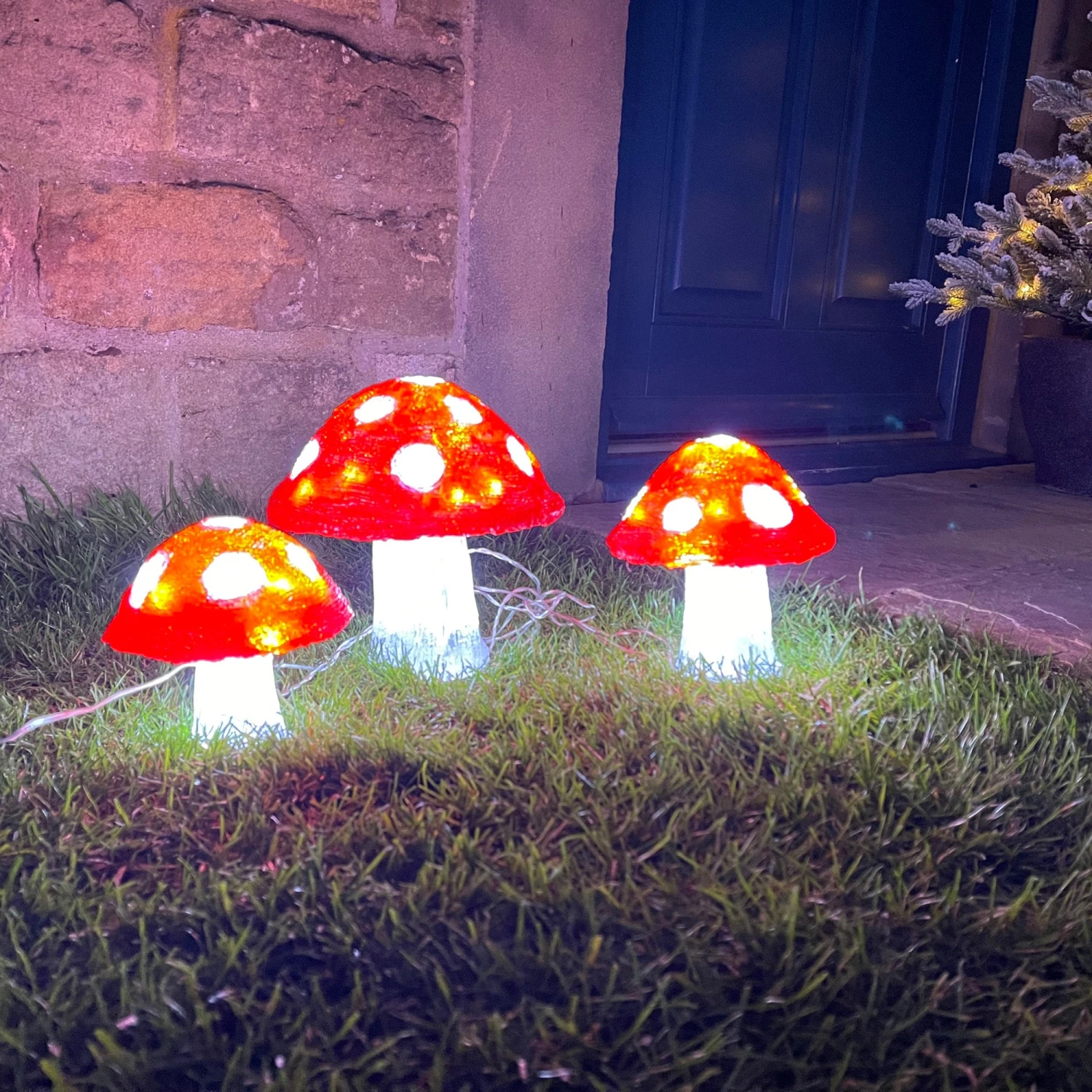 Outlet β Lumineo Set Of 3 LED Lit Acrylic Toadstools π 2 Outlet β Lumineo Set Of 3 LED Lit Acrylic Toadstools π - Image 2