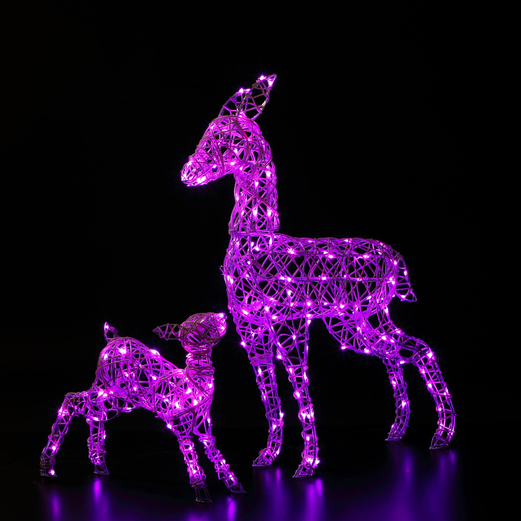 Set of 2 Colour Changeable Deer & Fawn with Remote Control Hot Sale ???? Noma Set Of 2 Colour Changeable Deer & Fawn With Remote Control ???? -UK Christmas World Sales Store 2522120 3 900694