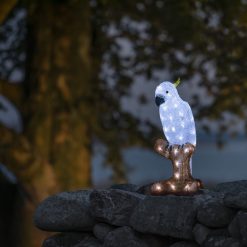 Discount ???? Konstsmide Acrylic LED Lit Parrot ❤️