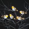 Discount ???? Snowtime Set Of 5 LED Lit Acrylic Robin Outdoor Display Lights ✔️