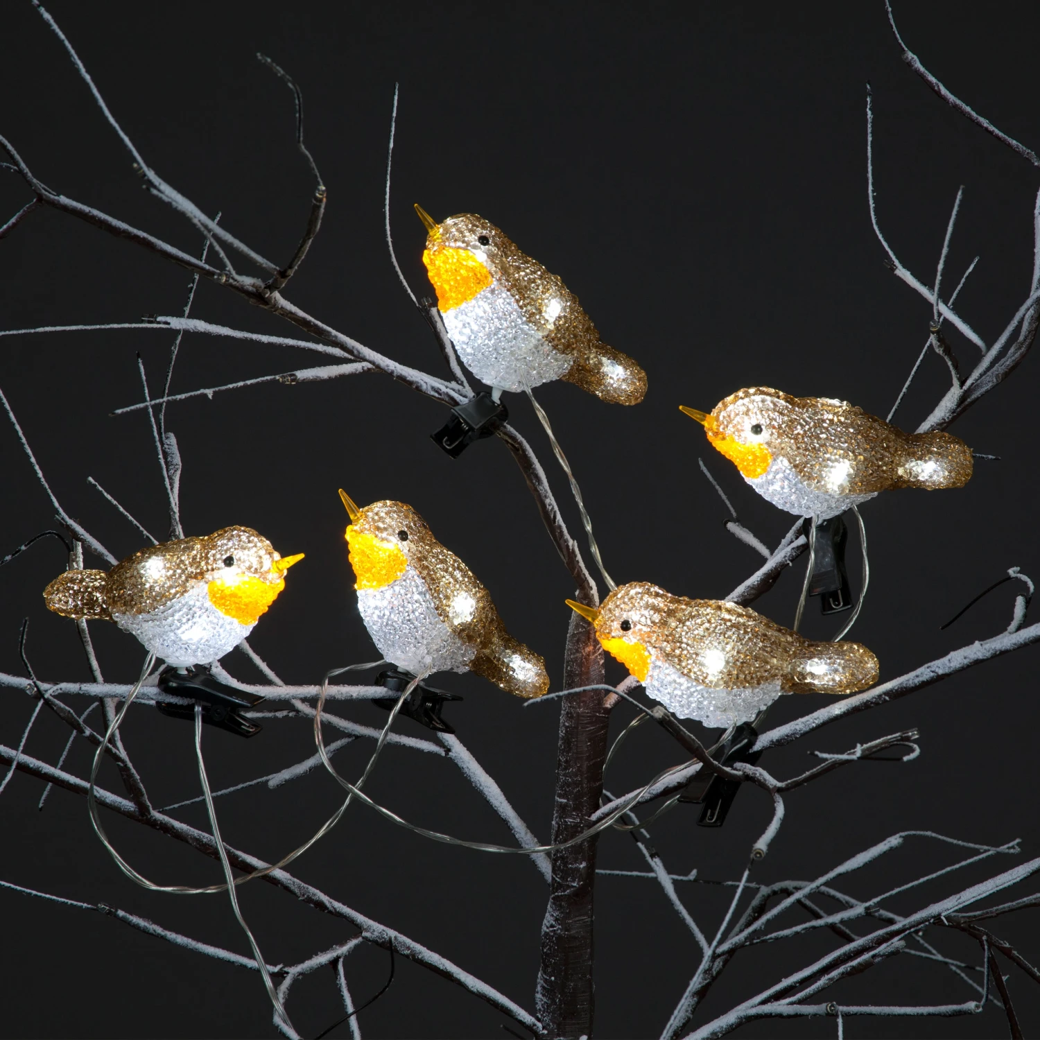 Discount π₯° Snowtime Set Of 5 LED Lit Acrylic Robin Outdoor Display Lights βοΈ 1 Discount π₯° Snowtime Set Of 5 LED Lit Acrylic Robin Outdoor Display Lights βοΈ
